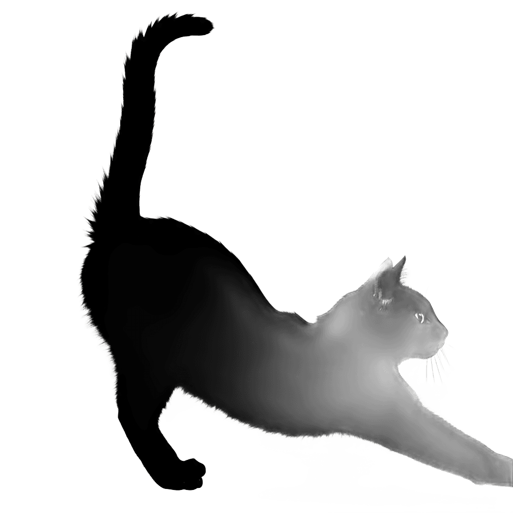 black cat silhouetteの透過PNG画像素材 (背景透過クリッピング済み) - Free Transparent PNG black cat silhouette Illustration for Commercial Use