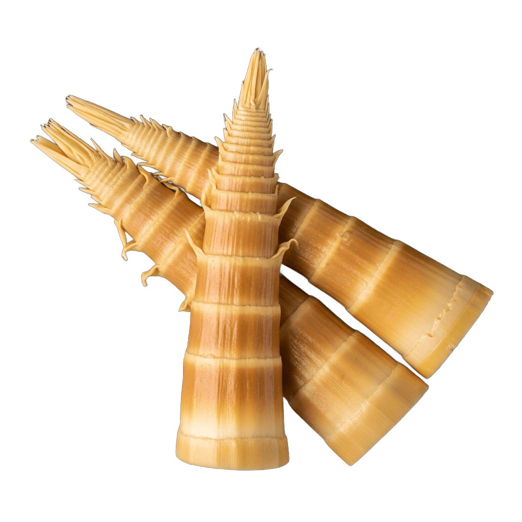 Menma Bamboo Shoots - カテゴリ: ramen (Japanese Assets) - 高品質透過PNG画像素材 | Free Transparent PNG Menma Bamboo Shoots